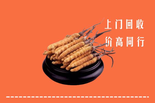 贵阳回收散虫草